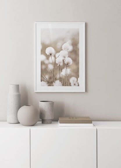 Affiche Cottongrass